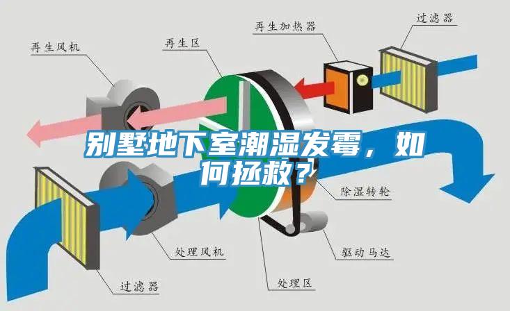 別墅地下室潮濕發(fā)霉，如何拯救？