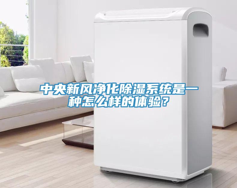 中央新風(fēng)凈化除濕系統(tǒng)是一種怎么樣的體驗？
