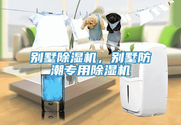 別墅除濕機(jī)，別墅防潮專用除濕機(jī)