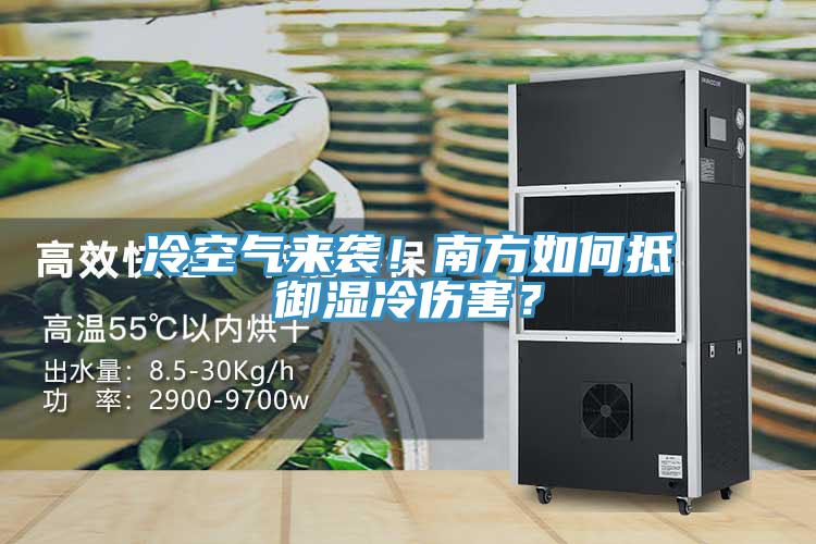 冷空氣來(lái)襲！南方如何抵御濕冷傷害？