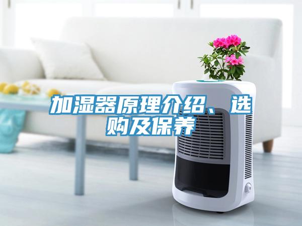 加濕器原理介紹、選購及保養(yǎng)