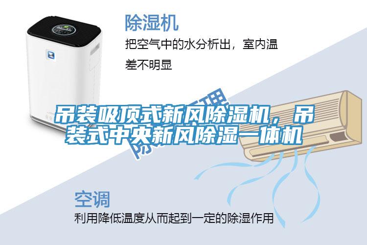 吊裝吸頂式新風(fēng)除濕機，吊裝式中央新風(fēng)除濕一體機