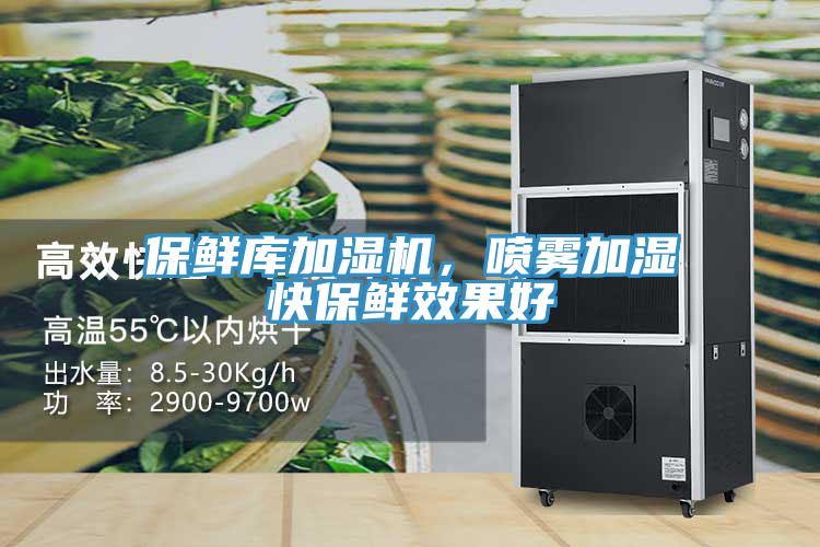 保鮮庫加濕機，噴霧加濕快保鮮效果好