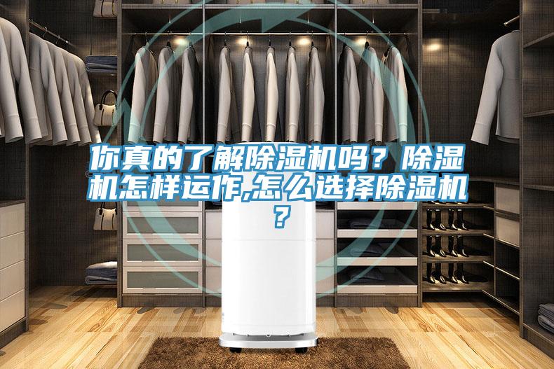 你真的了解除濕機嗎？除濕機怎樣運作,怎么選擇除濕機？