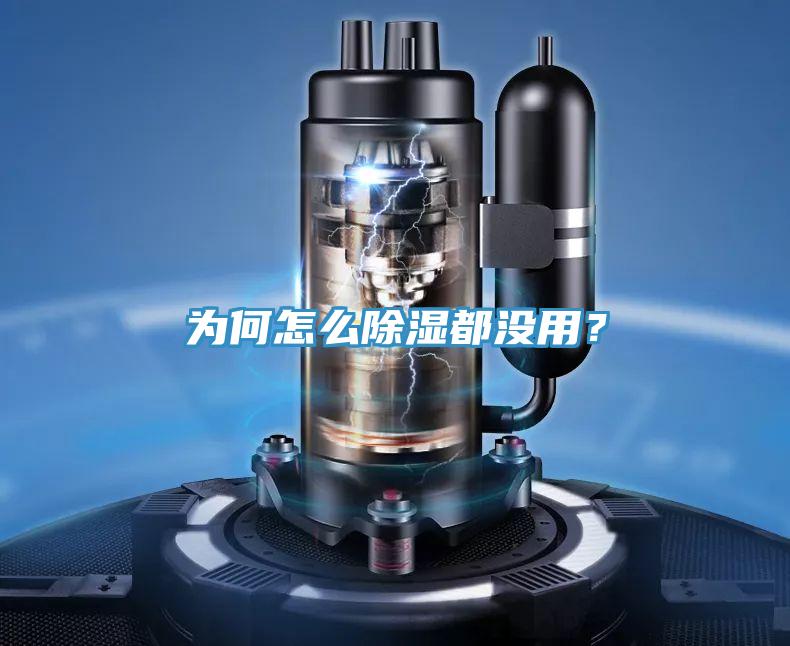 為何怎么除濕都沒用？