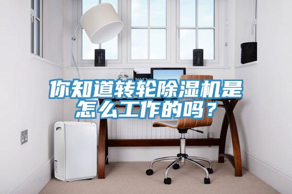 你知道轉(zhuǎn)輪除濕機是怎么工作的嗎？