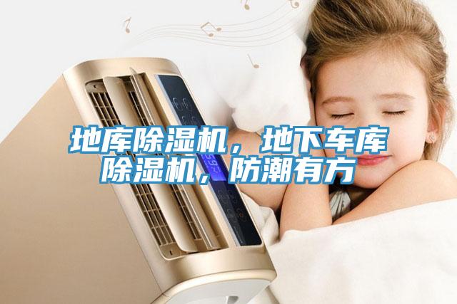 地庫(kù)除濕機(jī)，地下車庫(kù)除濕機(jī)，防潮有方