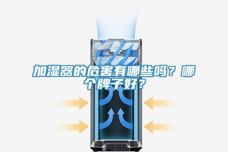 加濕器的危害有哪些嗎？哪個(gè)牌子好？