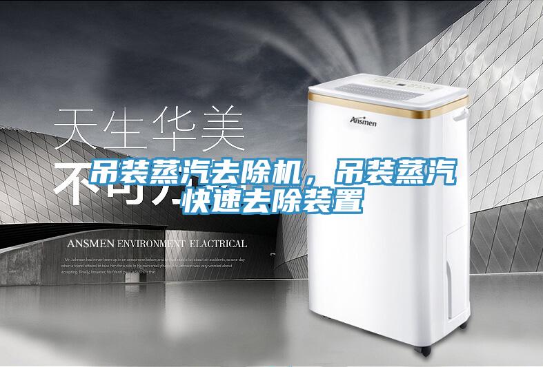 吊裝蒸汽去除機，吊裝蒸汽快速去除裝置