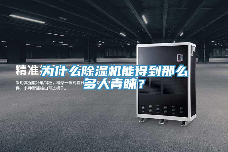 為什么除濕機(jī)能得到那么多人青睞？