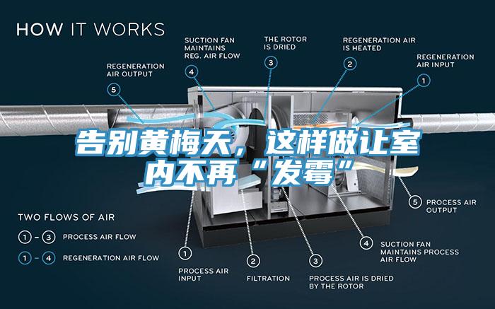 告別黃梅天，這樣做讓室內(nèi)不再“發(fā)霉”
