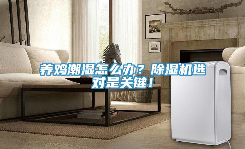 養(yǎng)雞潮濕怎么辦？除濕機選對是關(guān)鍵！