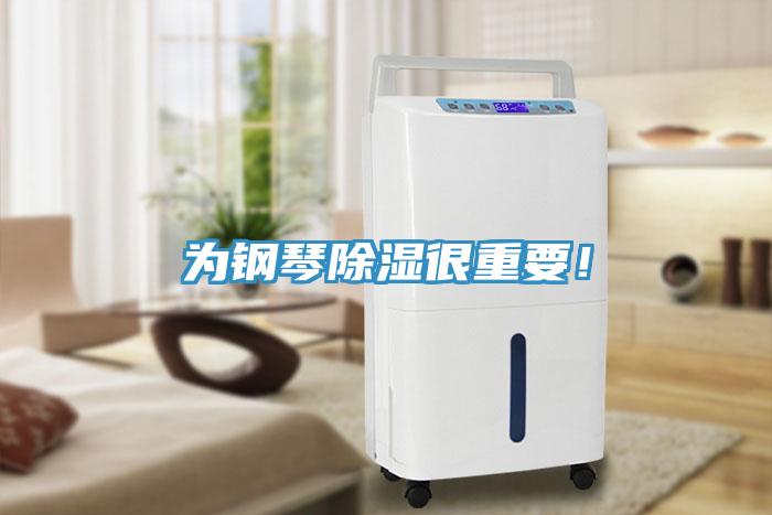 為鋼琴除濕很重要！