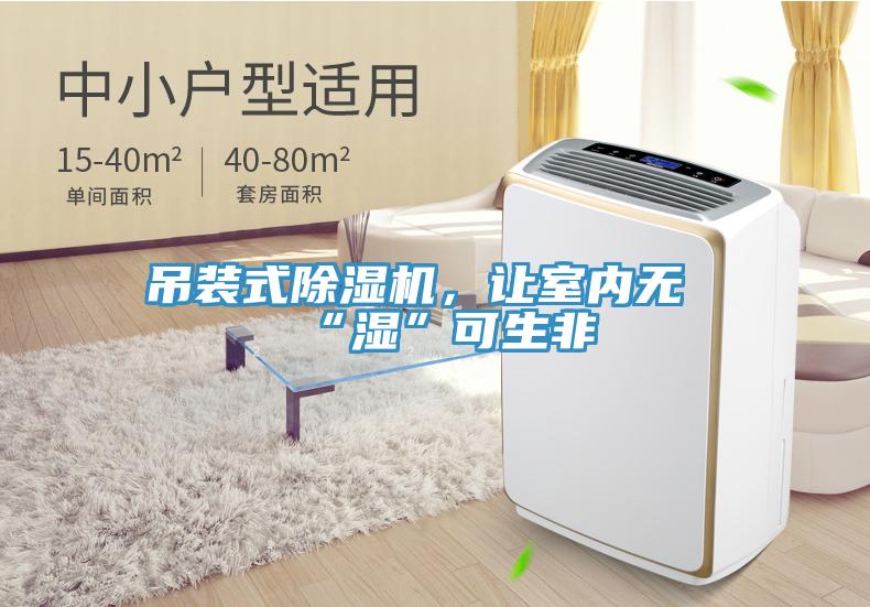 吊裝式除濕機，讓室內(nèi)無“濕”可生非