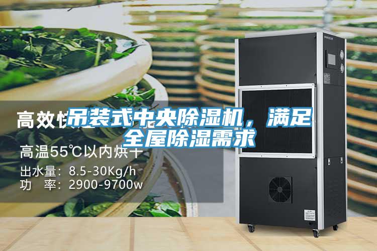吊裝式中央除濕機，滿足全屋除濕需求