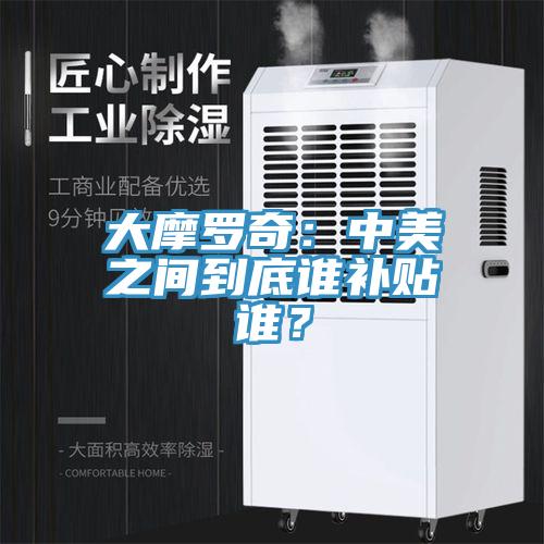 大摩羅奇：中美之間到底誰補(bǔ)貼誰？