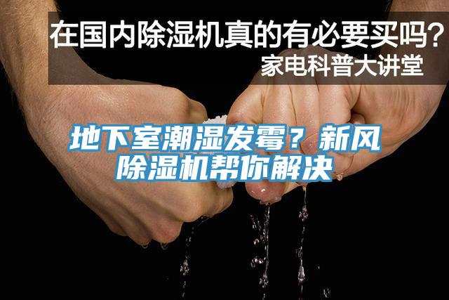 地下室潮濕發(fā)霉？新風(fēng)除濕機(jī)幫你解決