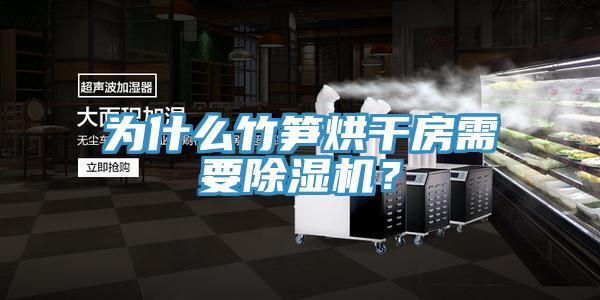 為什么竹筍烘干房需要除濕機(jī)？