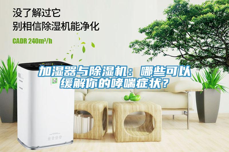 加濕器與除濕機(jī)：哪些可以緩解你的哮喘癥狀？