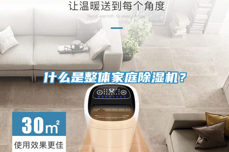 什么是整體家庭除濕機？