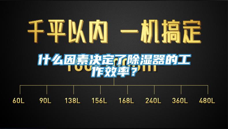 什么因素決定了除濕器的工作效率？