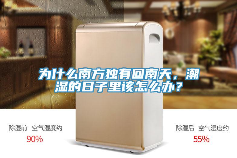 為什么南方獨有回南天，潮濕的日子里該怎么辦？
