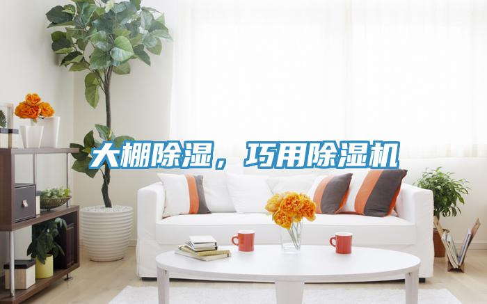 大棚除濕，巧用除濕機