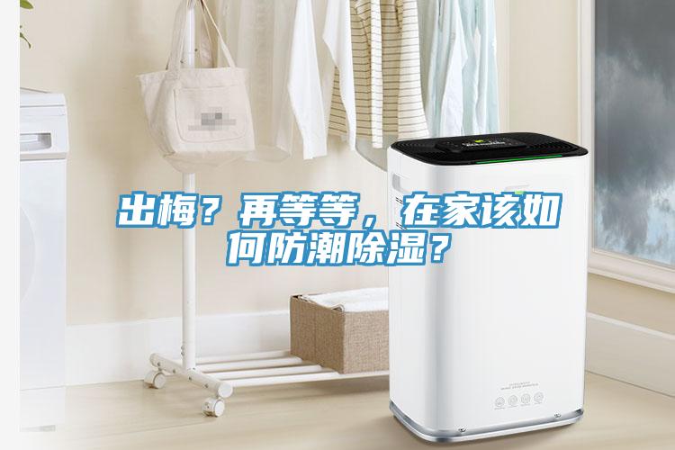 出梅？再等等，在家該如何防潮除濕？