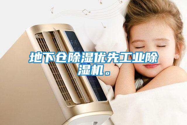 地下倉除濕優(yōu)先工業(yè)除濕機(jī)。