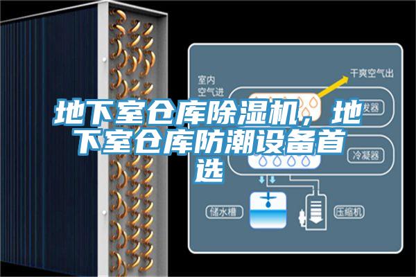 地下室倉(cāng)庫(kù)除濕機(jī)，地下室倉(cāng)庫(kù)防潮設(shè)備首選