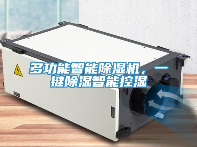 多功能智能除濕機，一鍵除濕智能控濕