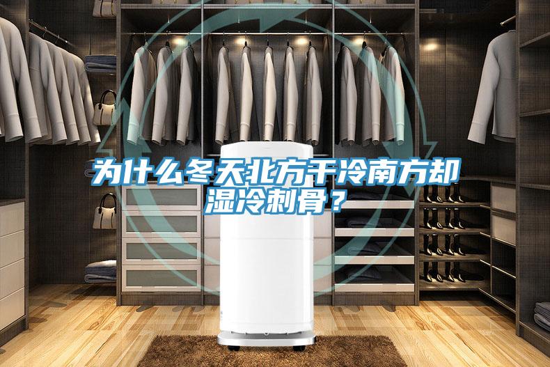 為什么冬天北方干冷南方卻濕冷刺骨？
