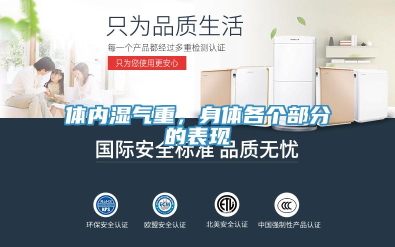 體內(nèi)濕氣重，身體各個部分的表現(xiàn)
