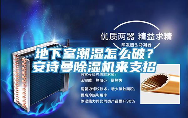 地下室潮濕怎么破？安詩(shī)曼除濕機(jī)來(lái)支招