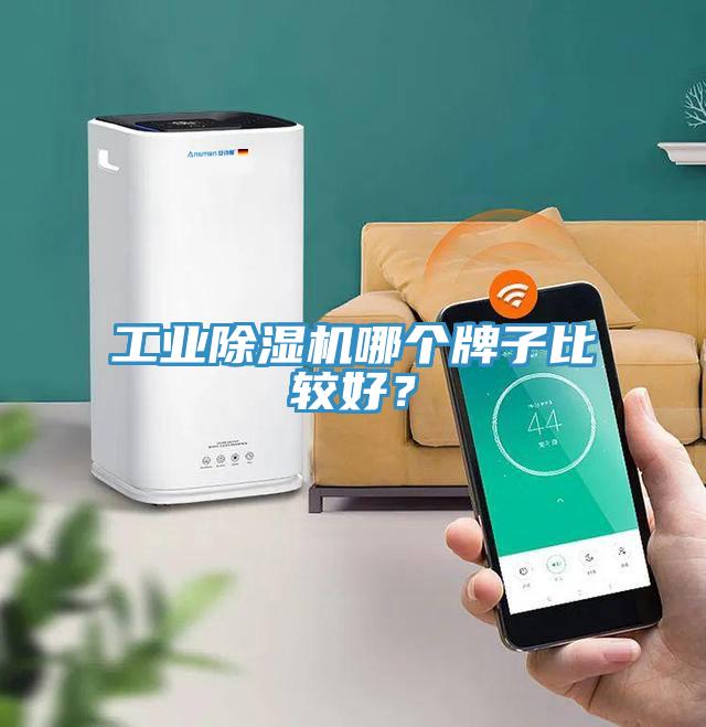工業(yè)除濕機(jī)哪個(gè)牌子比較好？