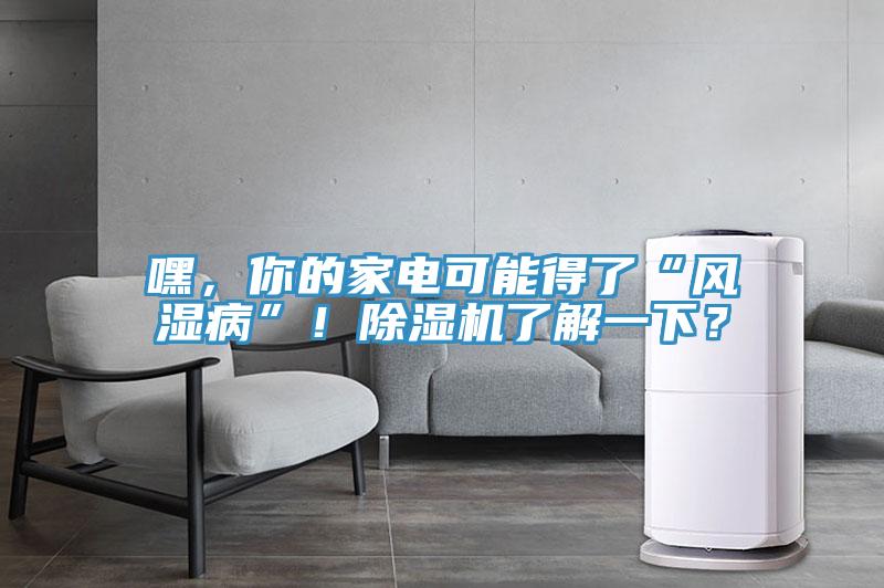 嘿，你的家電可能得了“風(fēng)濕病”！除濕機(jī)了解一下？