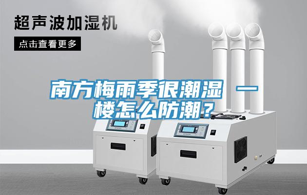 南方梅雨季很潮濕 一樓怎么防潮？