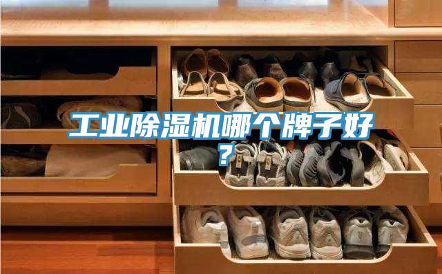 工業(yè)除濕機(jī)哪個(gè)牌子好？