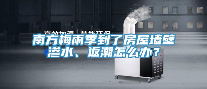 南方梅雨季到了房屋墻壁滲水、返潮怎么辦？