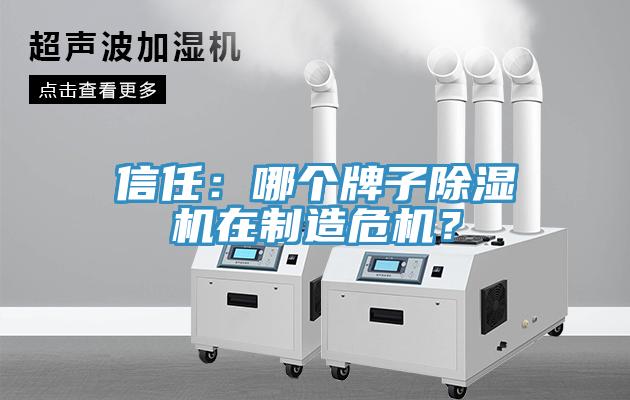 信任：哪個牌子除濕機(jī)在制造危機(jī)？