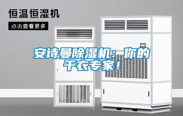 安詩曼除濕機(jī)：你的干衣專家！