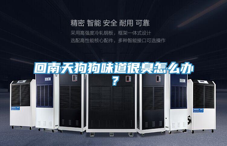 回南天狗狗味道很臭怎么辦？