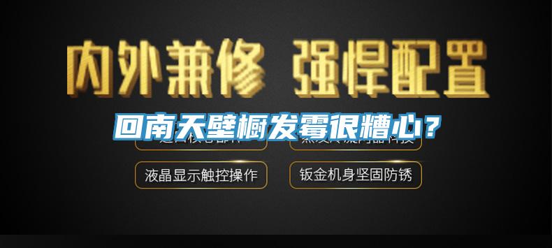 回南天壁櫥發(fā)霉很糟心？