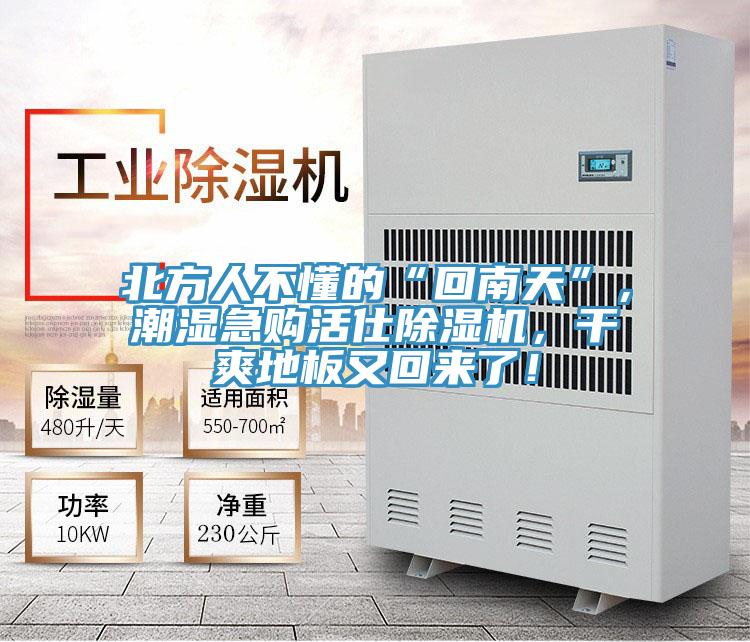 北方人不懂的“回南天”，潮濕急購活仕除濕機(jī)，干爽地板又回來了！