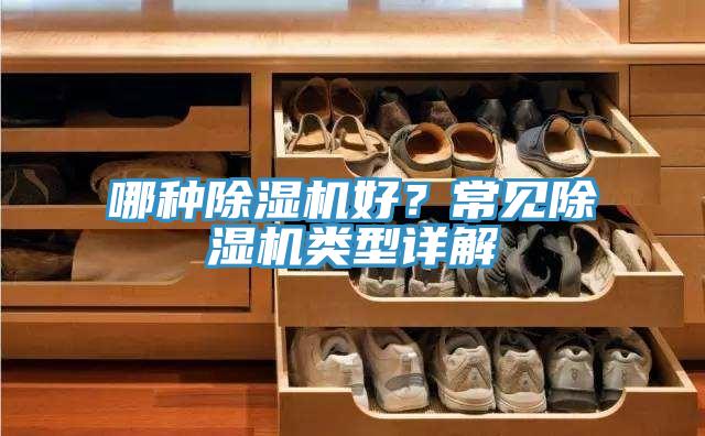 哪種除濕機好？常見除濕機類型詳解