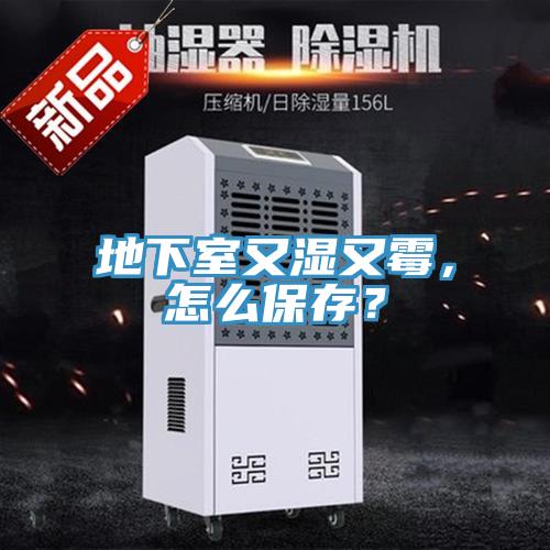 地下室又濕又霉，怎么保存？
