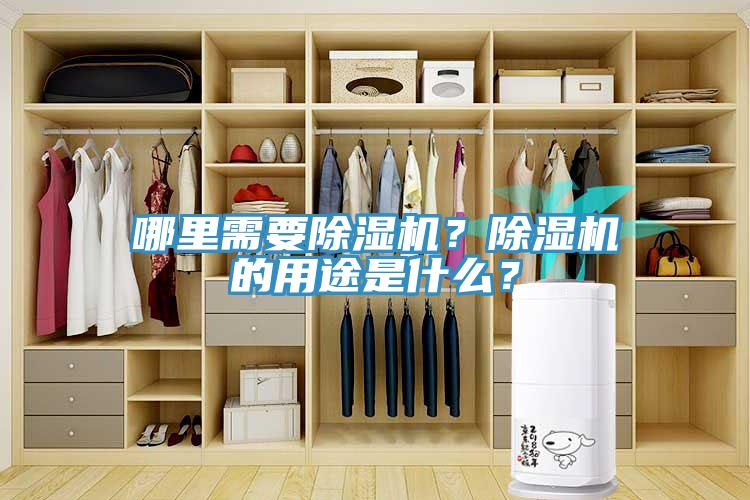 哪里需要除濕機(jī)？除濕機(jī)的用途是什么？