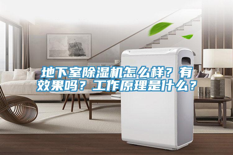 地下室除濕機(jī)怎么樣？有效果嗎？工作原理是什么？