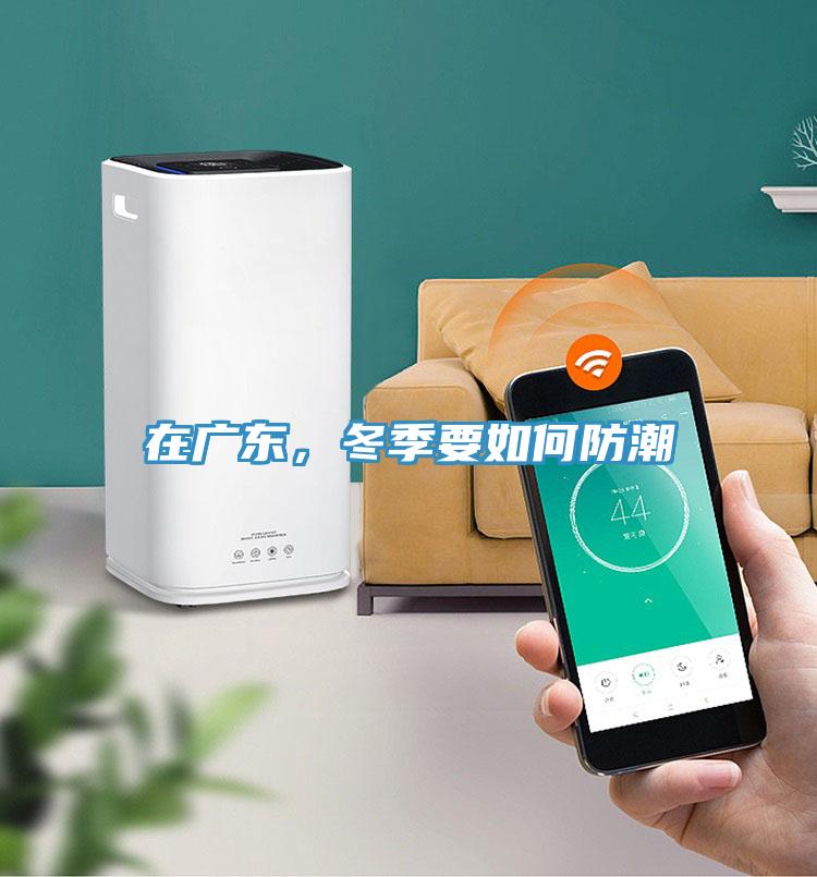 在廣東，冬季要如何防潮