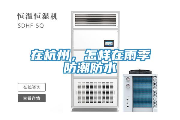 在杭州，怎樣在雨季防潮防水